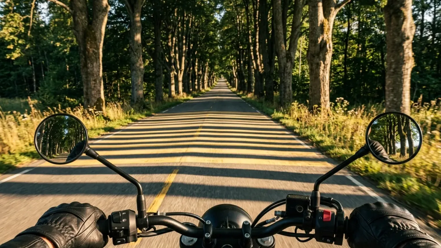 Seen over a motorcycle's handlebars: a tree-lined avenue in low sun, the trunks casting striped shadows across the road.